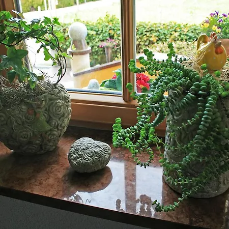 Appartement Haus Siller *