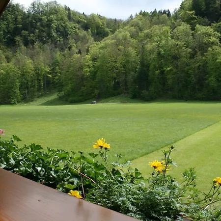 Haus Siller شقة